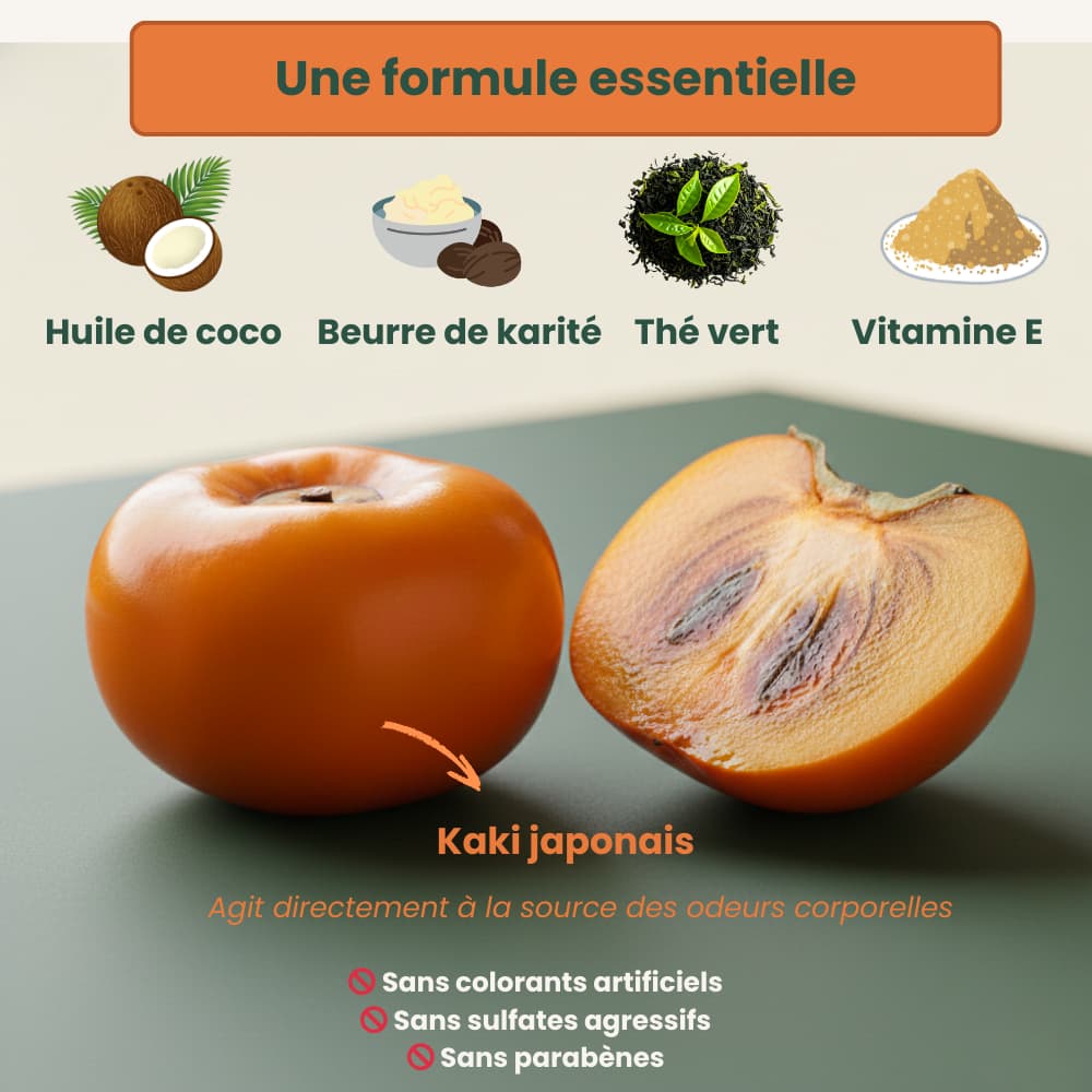 OSMIA │ Solution Anti-Odeurs au Kaki